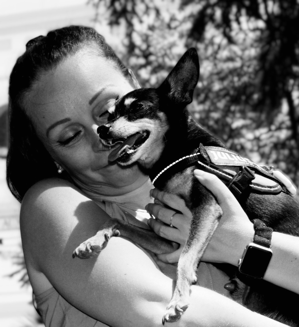 Perro disfrutando
