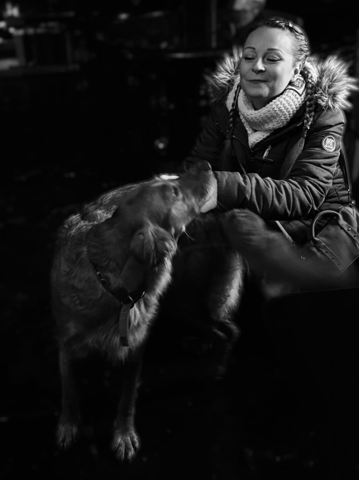 Momentos felices con perros